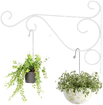 Amazon 𝐂𝐡𝐫𝐢𝐬𝐭𝐦𝐚𝐬 𝐆𝐢𝐟𝐭 フラワーすたんど アイアン ブラケット ック ハンギングスタンド 鉄植物ハンガー壁掛けブラケットフラワーフックホームガーデン装飾壁面用 白 フラワースタンド 園芸ラック