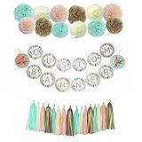 Personalized Banner, 72 Alphabet Letters Plus 12 Pom Poms and 16 Tissue Tassels, Fall Mint Peach Cream Gold Colors, Boho,Baby Shower, Birthday,Wedding Decorations,Bridal Shower,Create Your Greeting