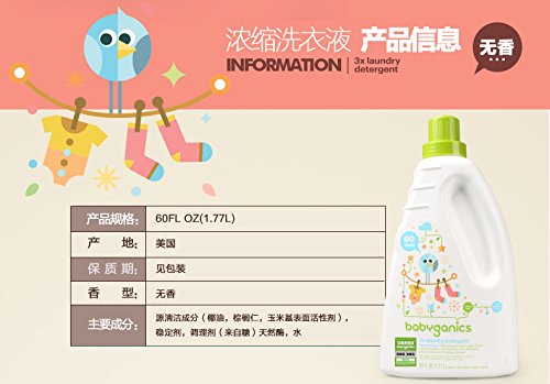 website template image
