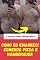Livro Como Eu Emagreci Comendo Pizza e Hambúrguer: A Verdade Sobre Emagrecimento