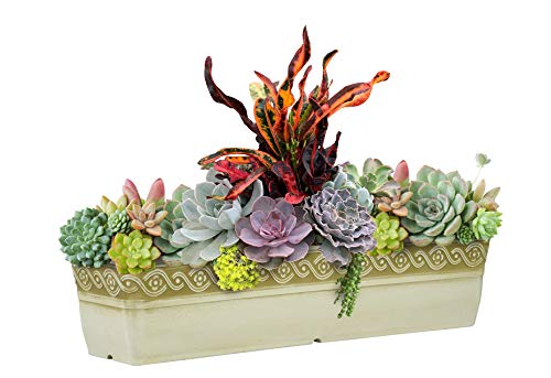 Classic-Home-and-Garden-9418D-514-18-Corinthian-Trough-Planter-Desert Classic-Home-and-Garden-9418D-514-18-Corinthian-Trough-Planter-Desert