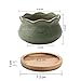 T4U Succulent Planter Pots Ceramic - Set of 6, Small Ceramic Succulent Pots Cactus Planters, Clay Pots with Drainage Window Boxes with Bamboo Tray, Green