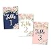 Hadley Designs 1-25 Navy Blush Floral Table Number Double Sided Signs for Reception, Restaurant, Birthday Event, Calligraphy Printed Numbered Card Centerpiece Decor Setting Reusable Frame Stand (4x6)