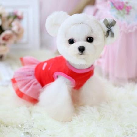 clothes for toy chihuahuas
