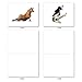 The Best Card Company - 10 Blank Yoga Note Cards (4x 5.12 Inch) - Boxed Notecards with Envelopes, Cute Animal Cards, Zen Assortment - Bovine Nirvana M6545OCB