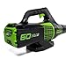Greenworks Pro 60-Volt Max Lithium Ion 540-CFM Brushless Cordless Electric Leaf Blower