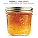 Bormioli Quattro Stagioni Wide Mouth Mason Jars 6 ¾ Ounce Glass Jar with Metal Airtight Lid Canning Jar for Jam, Jelly, Honey, Great Pickling, Preserving, Meal Prep, Food Storage, Salad Jar (12 Pack)