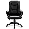 OFIKA Home Office Chair, Heavy Duty Design, Ergonomic High Back Cushion Lumbar Back Support, Computer Desk Chair, Big…