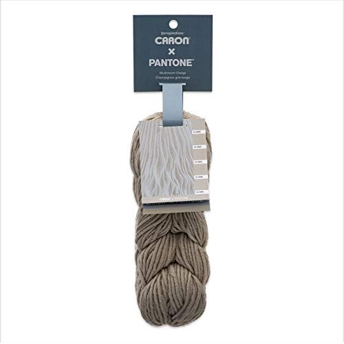 Caron x Pantone Acrylic & Merino Wool Blend Yarn •• 5 Identical Solid Colors in 1 Braid (Mushroom Greige 291101-01002)