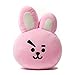 BT21 Official Merchandise by Line Friends - Cooky Decorative Throw Pillows Cushion, 16.5 Inch