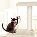 YOHOZ 36in Deluxe Cat Tree Climbing Tower Condo House | Cat Activity Tree with Sisal Scratching Posts for Kitten Activity Centre Playhouse, Pet Furniture Cat Tower | Padded Condo | Tunnel | Mouse Toy