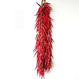 Transcend11 10 Bunch of Red Chili Fake Peppers Artificial Vegetables Food Faux Lifelike Plants Home Party Kitchen Decoration Hotel Store Display Model Photography Props Kids Prentend Play Toy