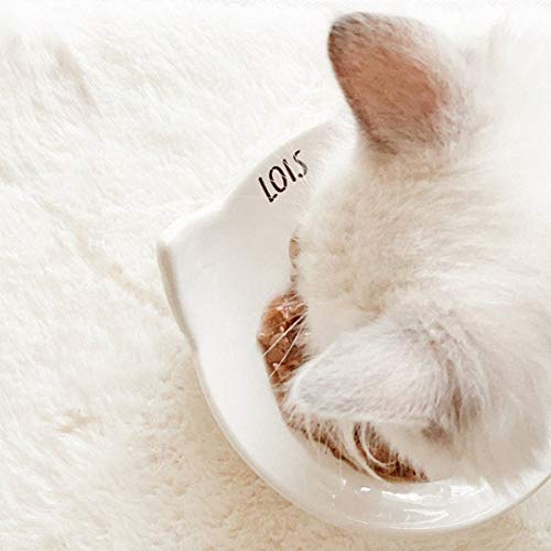 personalized cat dishes