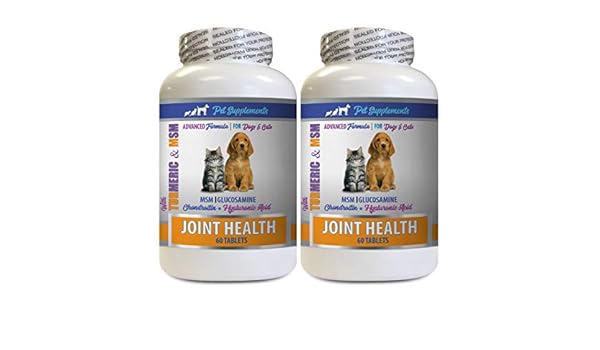 extend joint care for cats