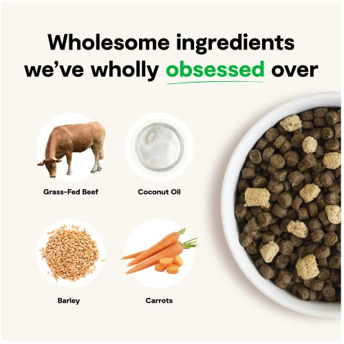 Open Farm RawMix Ancient Grains Front Range Recipe for Dogs, Includes