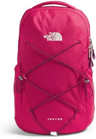 Amazon.com: The North Face Women's Vault Everyday Laptop Backpack