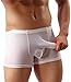 WINDAY Men's Underwear G-String Thong Elastic Smooth Bikini Briefs N01