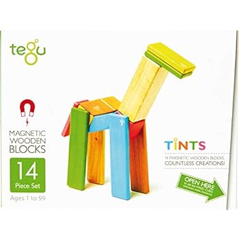 14 Piece Tegu Magnetic Wooden Block Set, Tints