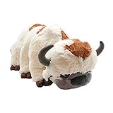 Appa 18