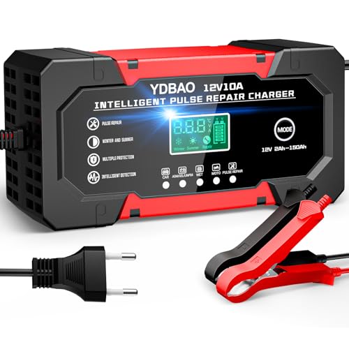 Caricabatterie Auto 10A 12V per Auto Moto AGM LiFePO4