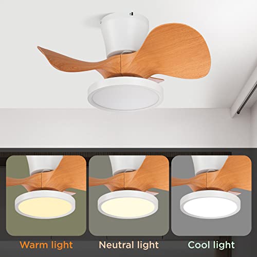 Ocioc Quiet Ceiling Fan With LED Light 22 Inch Large Air Volume Remote