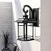 Emliviar Outdoor Wall Lantern Lights, 1-Light Exterior Wall Sconce Lamp, Black Finish with Clear Seeded Glass, 2084B BK