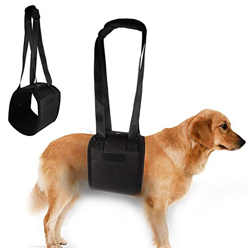 Adjustable Dog Lift Harness and Support Sling for Mobility Rehabilitation Aid Senior Injured Disabled Dogs with Joint Injuries Walk (XL)