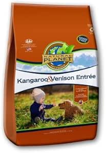 what foods are harmful to dogs