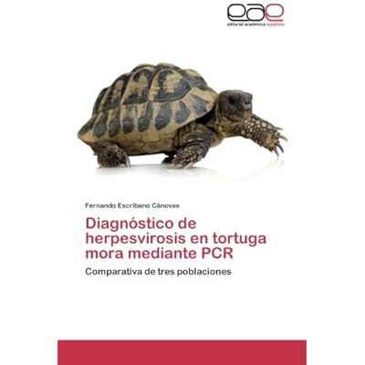 Diagnostico de Herpesvirosis En Tortuga Mora Mediante PCR