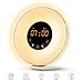 Sunrise Alarm Clock Wake Up Light FM Radio Clock Night Light for Heavy Sleepers & Kids - 7 Adjustable Colors - Sunrise and Sunset Simulation with Touch Control