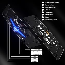 EARISE Vigorowl T65 Portable PA System with 2