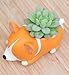 Cuteforyou Cute Animal Shaped Cartoon Home Decoration Succulent Vase Flower Pots (Plant Not Included)