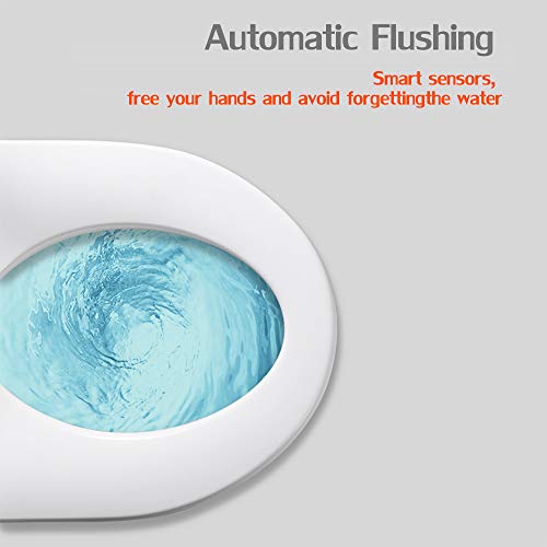 Euroto OnePiece Dual Flush Toilet with Integrated Bidet, Integrated