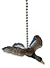 Flying Mallard DUCK hunting bird ceiling FAN PULL light chain extender
