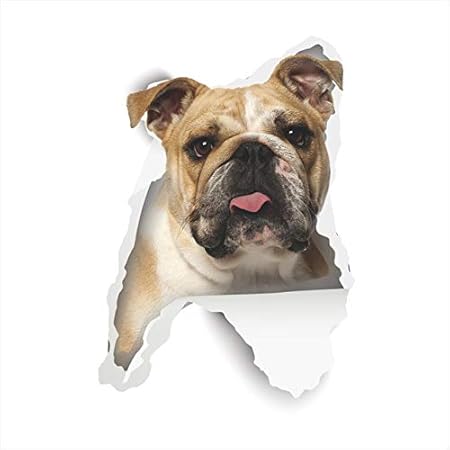 Perro De Dibujos Animados Gatito Etiqueta De La Pared Decoracion