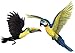 Walls of the Wild Tropical Bird Wall Decals Combo Pack Toucan Wall Sticker (14 in. x 12 in.) and Macaw Wall Sticker (16 in. x 17 in.)