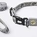 Silver Paw Stark Collar & Leash Set Medium