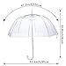 House Of Reign Clear Umbrella BIG 47 INCH ARCH for Women - Auto Open with EXTRA STRONG Reinforced Fiberglass Ribs Fit for Two