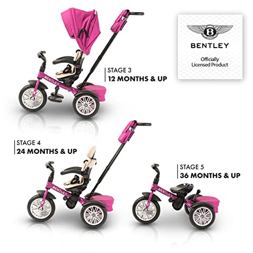 Bentley Trike, All Terrain Toddler Bike 6in1, Officially Licensed