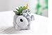 Youfui Cute Dog Flowerpot Resin Succulent Planter Desk Mini Ornament (Schnauzer Pot)
