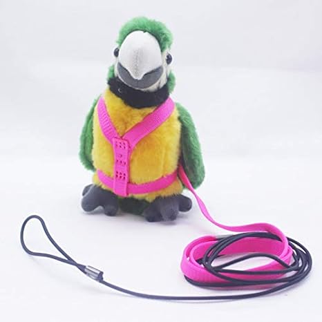 bird harnesses and leashes