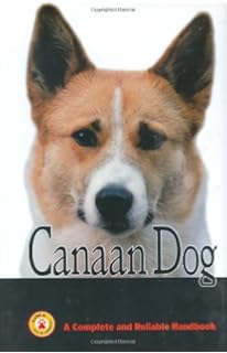 Download The Israel Canaan Dog Shiboleth Myrna 9780931866715 Amazon Com Desktop Wallpaper Free Get Wallpaper The Israel Canaan Dog Shiboleth Myrna 9780931866715 Amazon Com Free HD