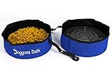 Doggone Dish Collapsible Travel Pet Bowl image large