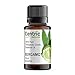 Bergamot Essential Oil By Scential Health 15ml (.5oz) 100% Certified Pure Therapeutic Grade Essential Oil With No Fillers, Bases or Additives AND ZERO Carrier Oils