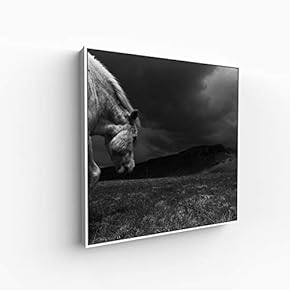 Canvas Wall Art for Living Room, Bedroom Portrait Framed Canvas Prints for Home Decoration Ready to Hang - 16x16 inches