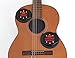 Kyser Lifeguard Humidifier - for classical guitars