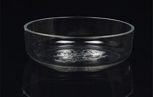 Zeroyoyo Acrylic/Glass Ornamental Shrimp Feeding Dish Snail Fish Food Feeder Bowl Cup Basin Tray Container for Aquarium Fish Tank - Thumbnail 5