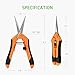 VIVOSUN 6.5 Inch Gardening Hand Pruner Pruning Shear with Straight Stainless Steel Blades Orangethumb 4