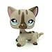 do1n Littlest Pet Shop #468 Gray Short hair Cat kitty Tan Blue Eyes LPS