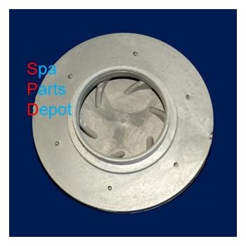 Amazon.com : (2) Bearing & 1000 Seal Pump Parts Kit
